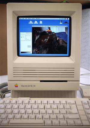 LCD in action